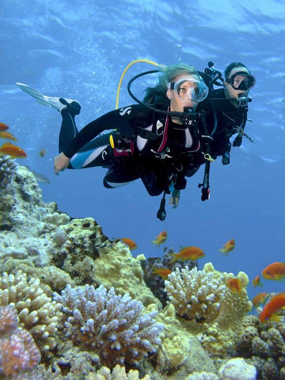 Curso de Buceo PADI Open Water