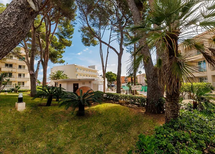 Hotel de playa: O7 Club Cala Ratjada